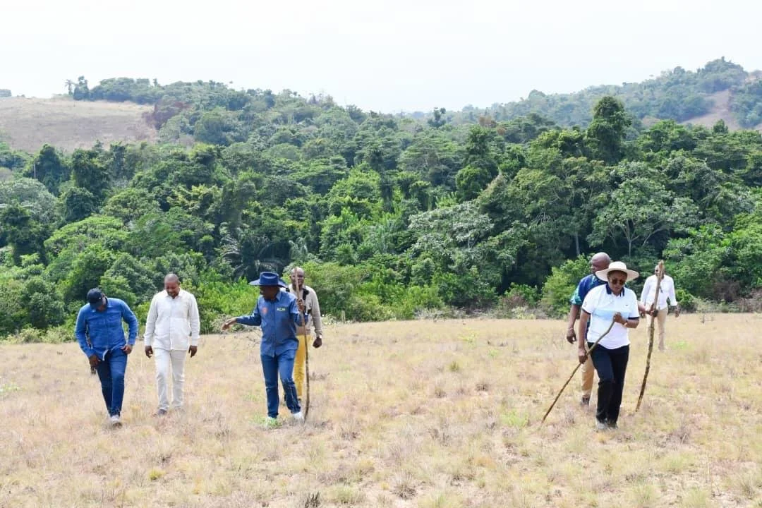 Un groupe dans un paysage ouvert
