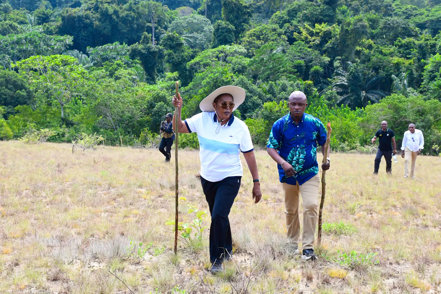 Marche dans la savane, bâton à la main, avec la forêt en arrière-plan