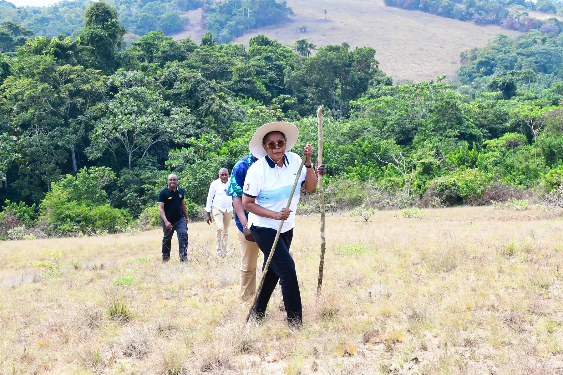 Un groupe marche dans la savane en direction de la forêt