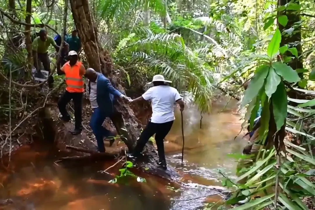 Une équipe traverse un cours d’eau en forêt, bâtons à la main